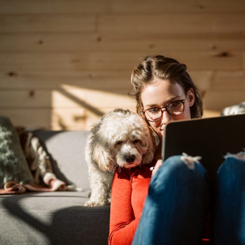 Artist Drawing At Home In Company Of Her Poodle Dog